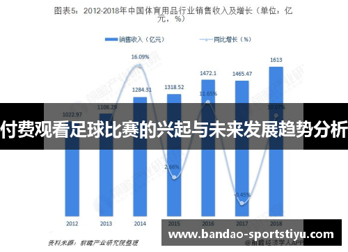 付费观看足球比赛的兴起与未来发展趋势分析